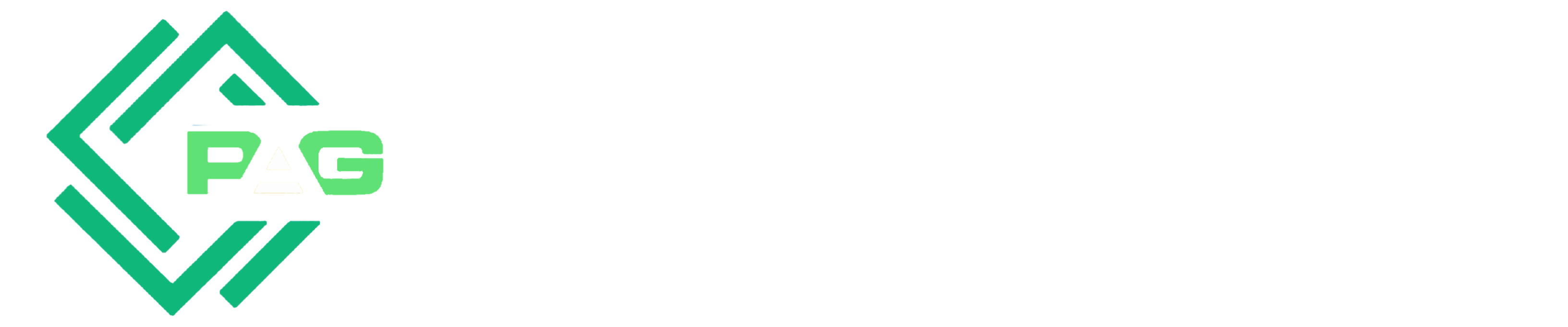 primeaxis-global.com